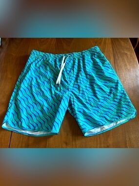 Fair Harbor Turquoise Swim Trunks with Blue Wave Stripe